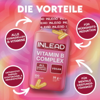 Inlead Vitamin B Complex 120 Caps