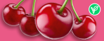 Sour Cherry